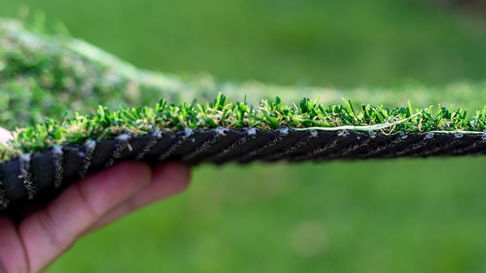 WhatsApp Image 2025-06-20 at 1.14.01 PM (2)