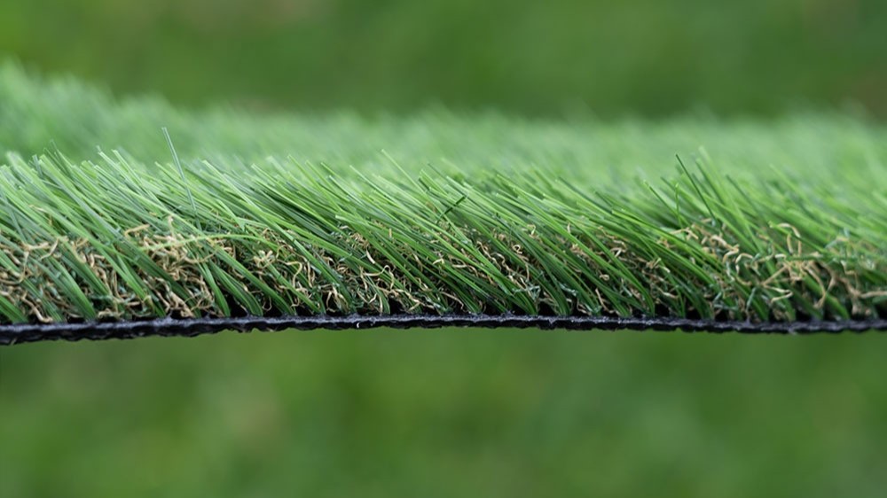 WhatsApp Image 2025-06-20 at 1.14.01 PM (3)